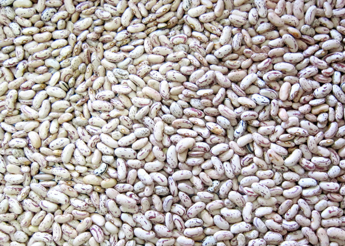 Intelligent RGB Kidney Bean Color Sorter 5 Channels Agriculture Equipment