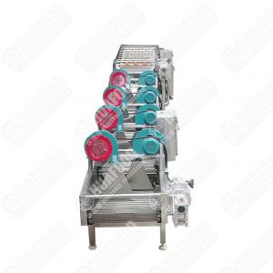 China Industrial Vegetable Washing Drying Line Vortex Type Vegetable Washing Processing Machine Line Vegetable Line on sale