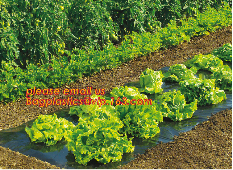0.1mm 0.12mm 0.15mm 0.18mm 0.2mm 0.25mm hydroponic agriculture white/black panda opaque polyethylene PE film BAGPLASTICS