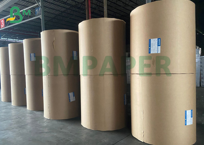 ivory paper