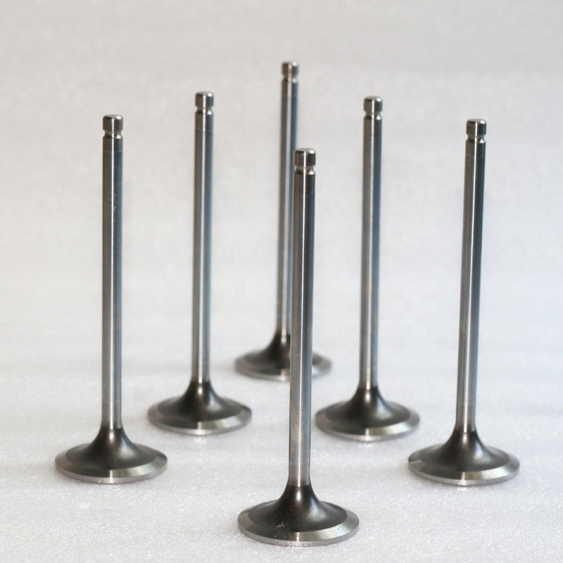 Silvery & Black Diesel Engine Valve SD23 Race Forged Inlet Exhaust Engine Valve 13201-L2000 13202-L2000