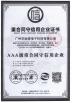 Guangzhou Canyi Electronic Technology Co., Ltd Certifications