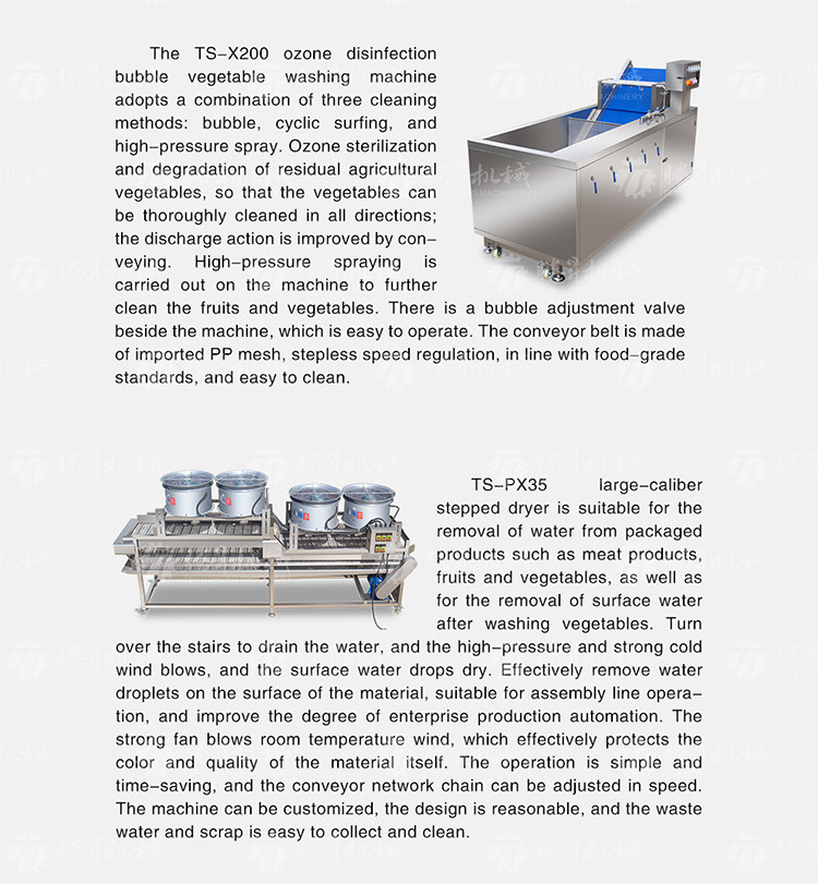 Kiwi Carrot Taro Vegetable Brush Bubble Cleaning Machine 2.5KW