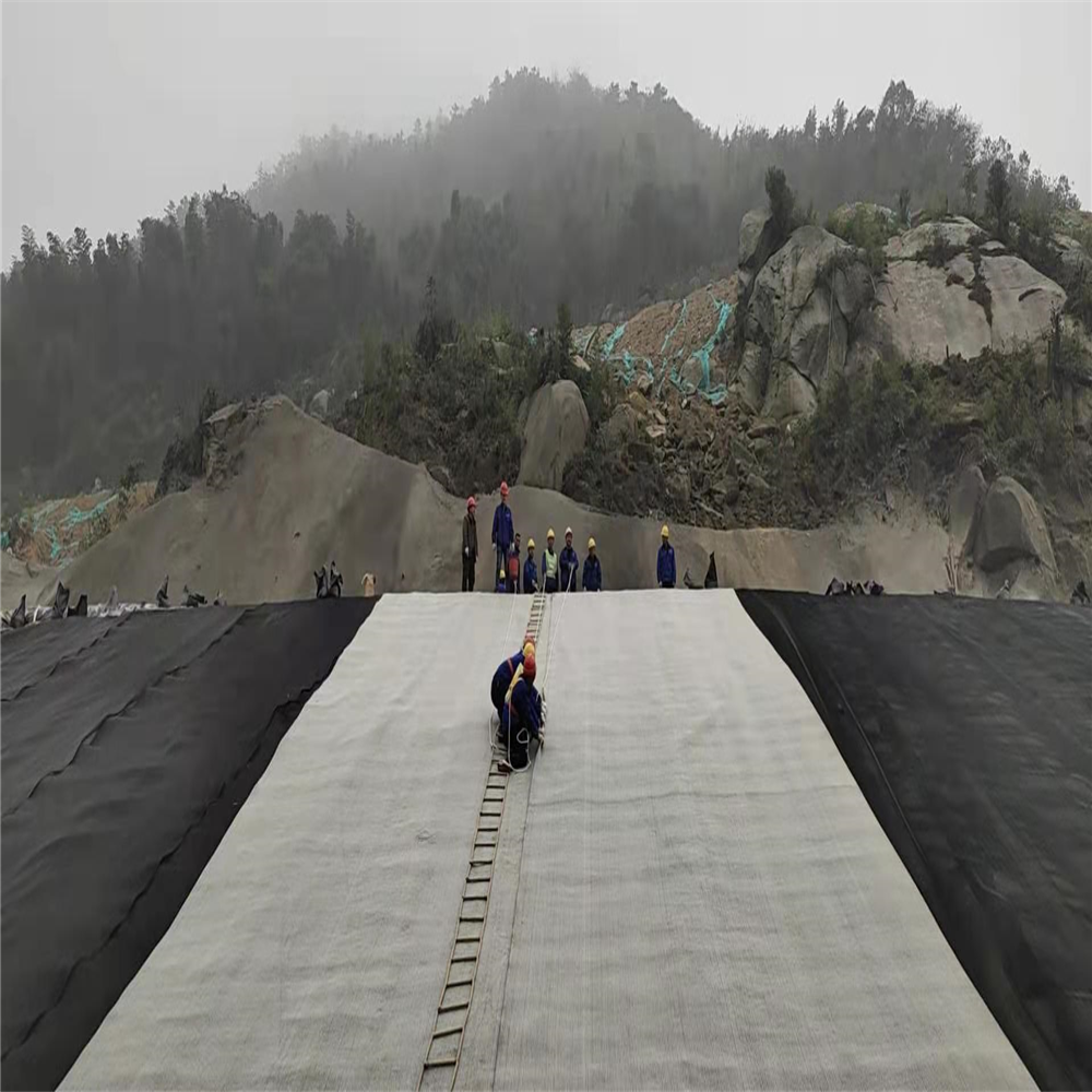 Non Woven Geotextile 4 oz for Erosion Control in Industrial Design Style 100-800g/sqm