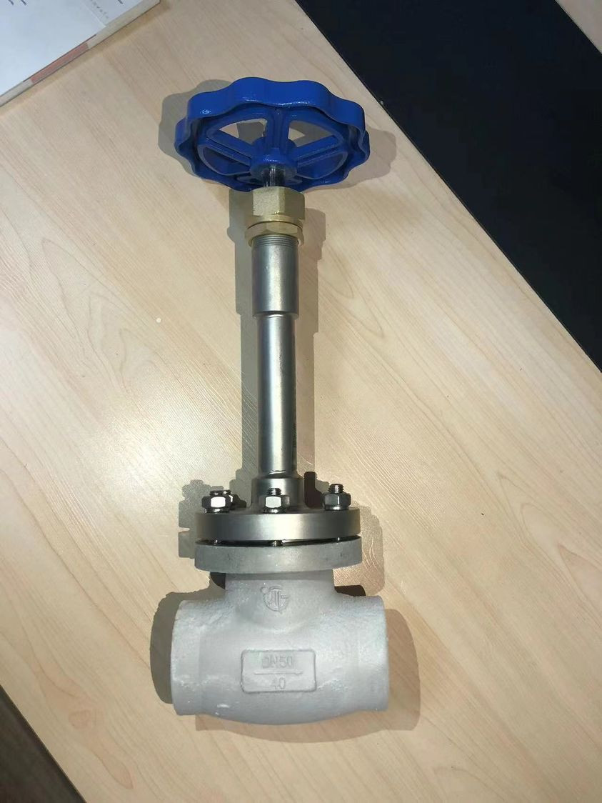 Socket Welding Connection High Pressure Check Valve For Cryogenic Liquid Gases Lox Lng Lin PN320 Valve