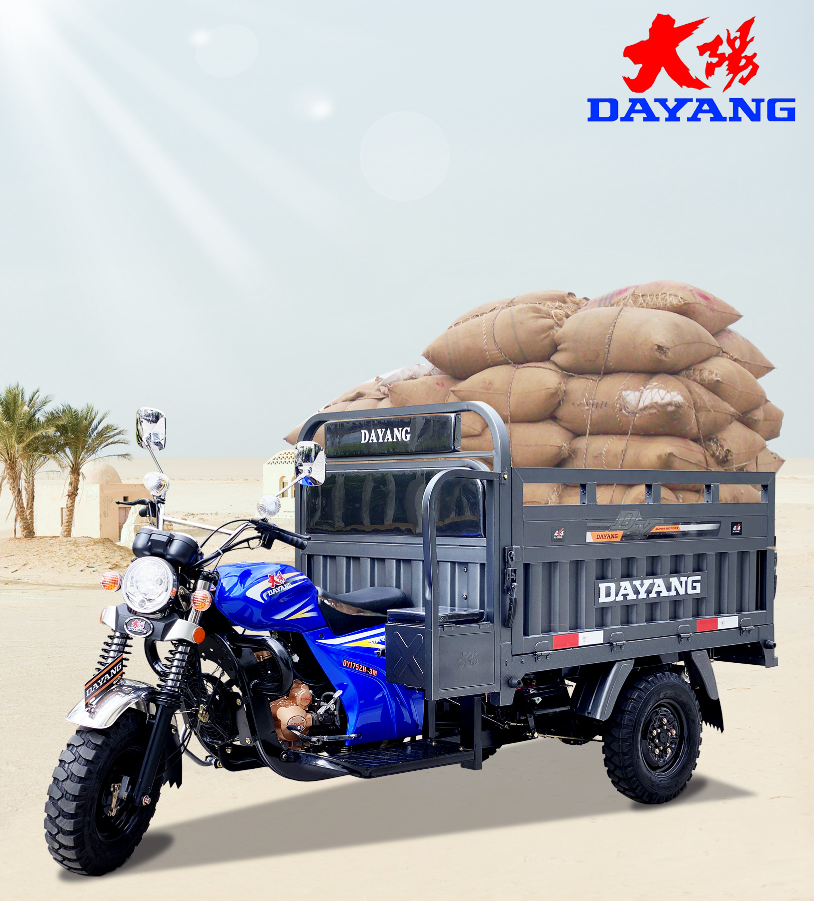 200cc Cargo Tricycle-Cargo-Afrique with Standard Size and Cargo Box Size 2.2*1.4m