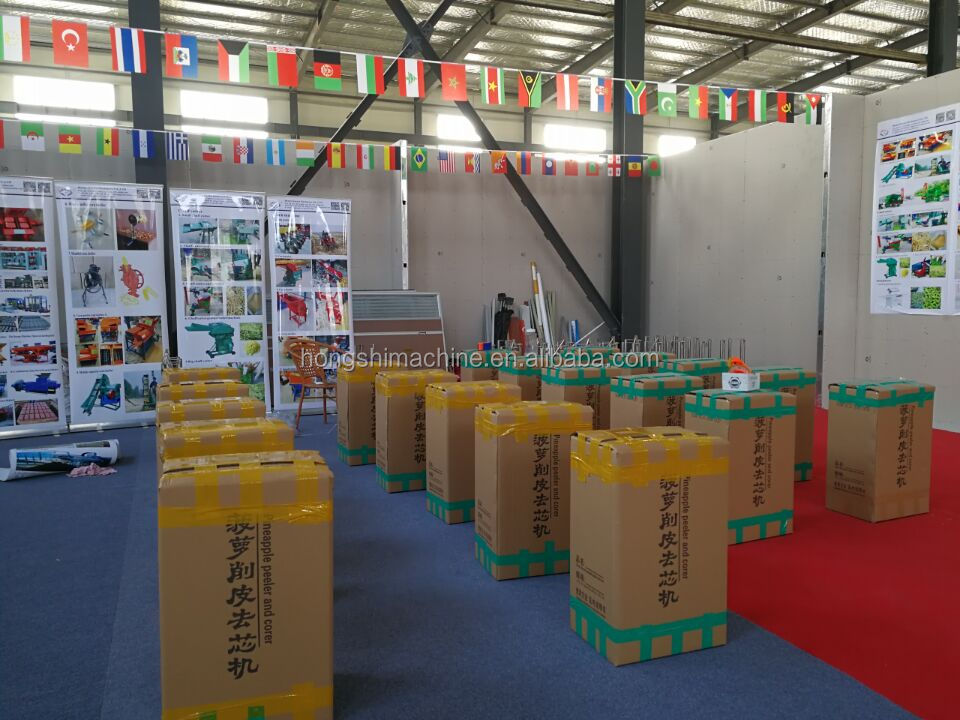Stainless steel Manual pineapple cutting machine