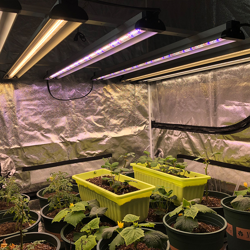 Vertical 60w 4ft Veg LED Grow Light Garden Indoor Hydroponics Tomato Cucumber