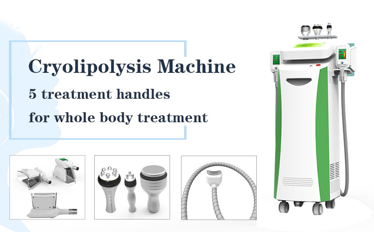 Best 4 Cryo Handles Double Chin body shaping Fat Freeze Cryolipolysis Beauty Machine