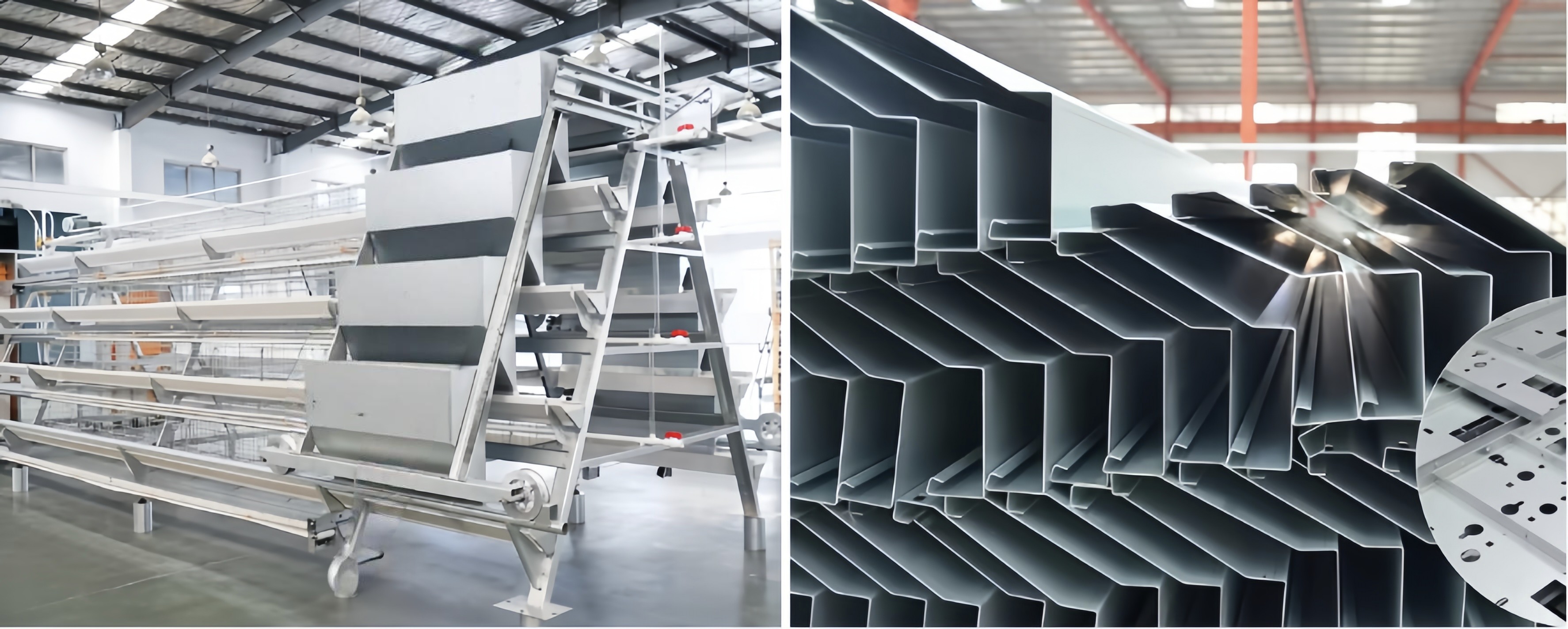 Easy Install Broiler Chicken Cage Automatic Chicken Feeding System For Poultry