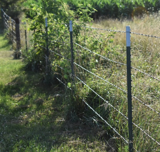 wire net with barbed wire wire barbed barbed wire 800m barbed wire plant galvanized barb wire 4mm barbed wire aluminum barbed wire