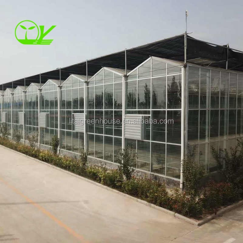 Film Covered Greenhouse for Agriculture in Namibia Affordable and Customizable Height