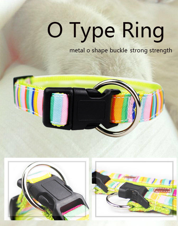 C508 Shenzhen Manufacturer Cute Cheap Price Custom Logo Fashion Sublimation Pet Dog Collars and Leads