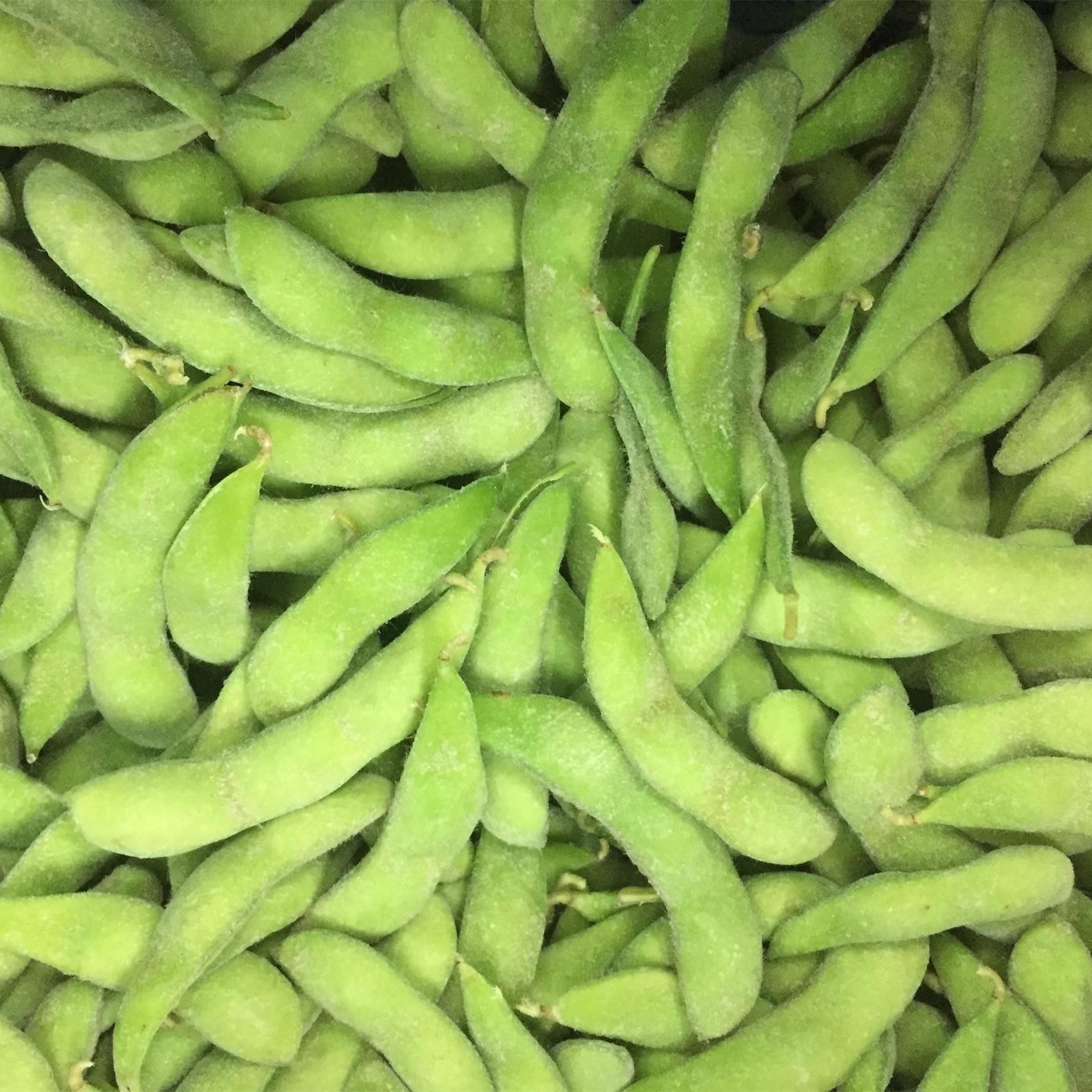 ISO22000 HACCP Approved Frozen Edamame Pods IQF Bulk Green