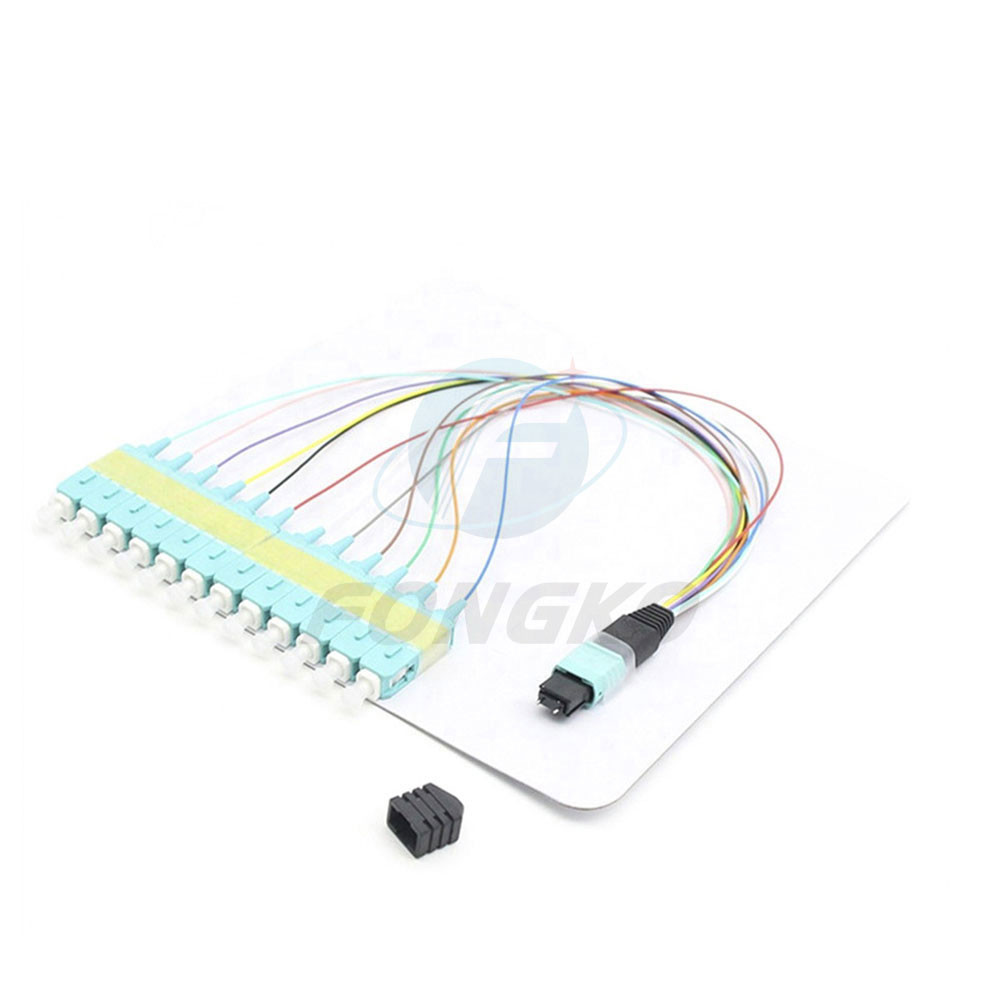 Single Mode 0.9mm lc MPO To SC Mtp Fanout Cable 0.5m 12 Fiber