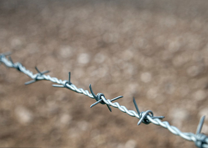 Use Of Prison Walls Single Strand Hot Dipped Galvanized Steel Barbed Wire
