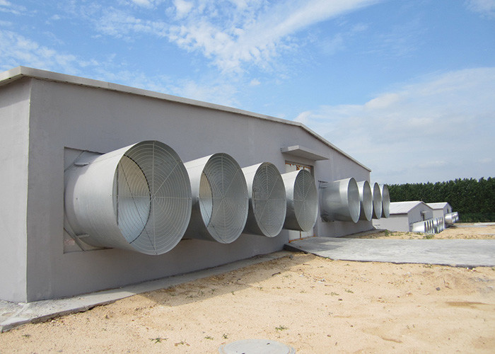 ABB WEG Motor Chicken House Exhaust Fan Poultry Farm Cooling ISO9001