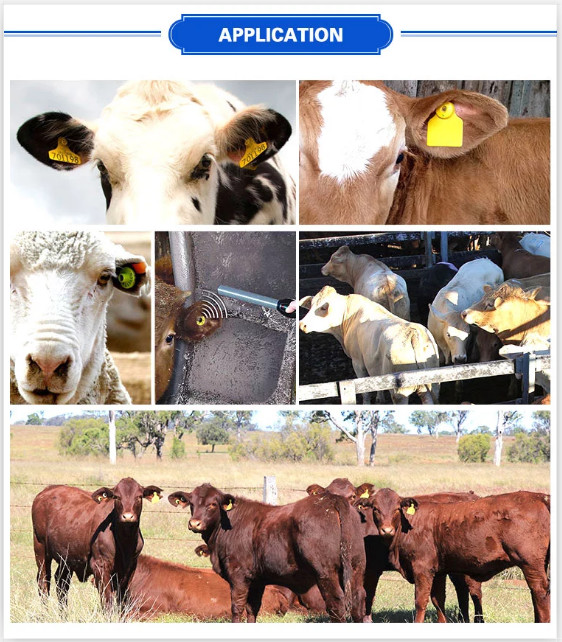 Tie Shape Long Reading TPU UHF RFID Livestock Tags For Sheep