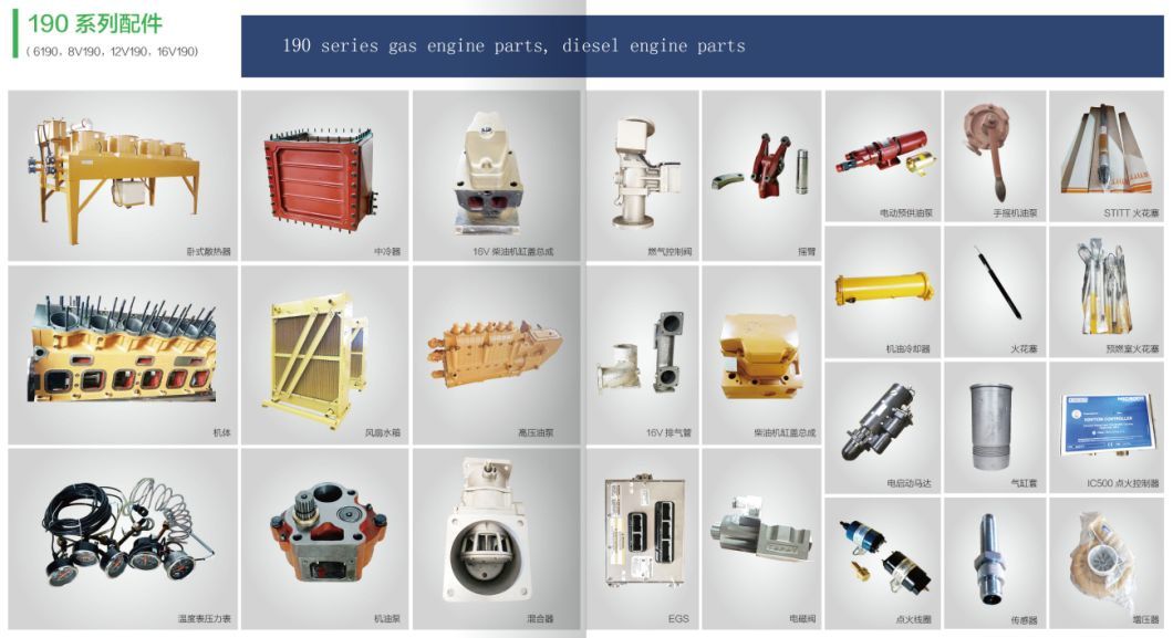 Shengdong Parts Z12V190b Engine Parts Gasket Cylinder Head Parts 12vb. 03.51