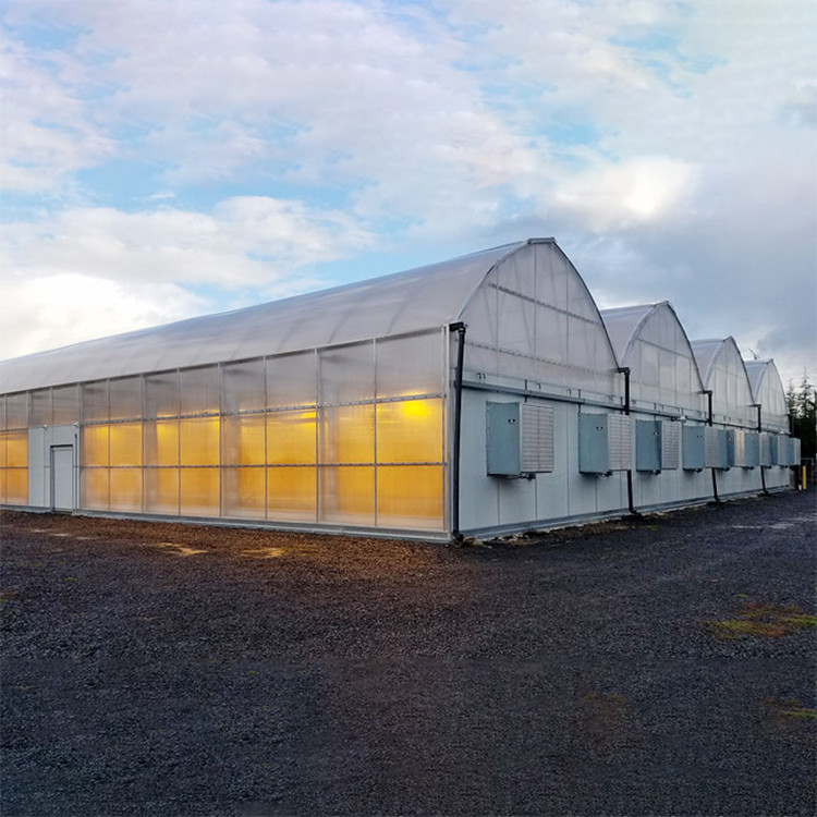 Three Layer Low Light 150 micro PEP light deprivation blackout greenhouse