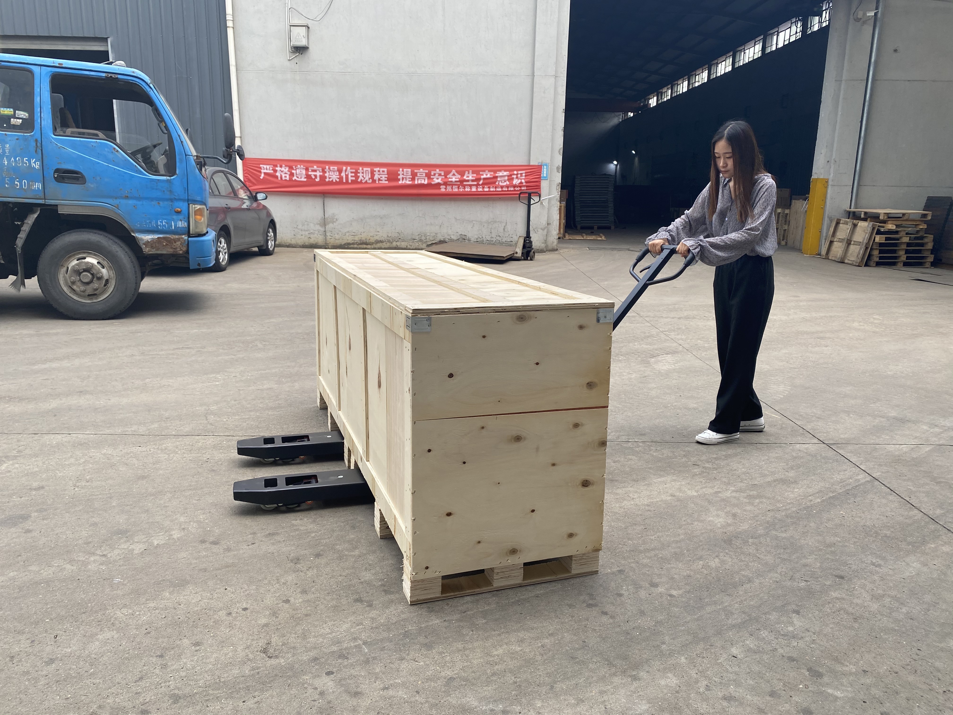 Manual 3000Kg Pallet Jack Scale Truck With Weight Indicator