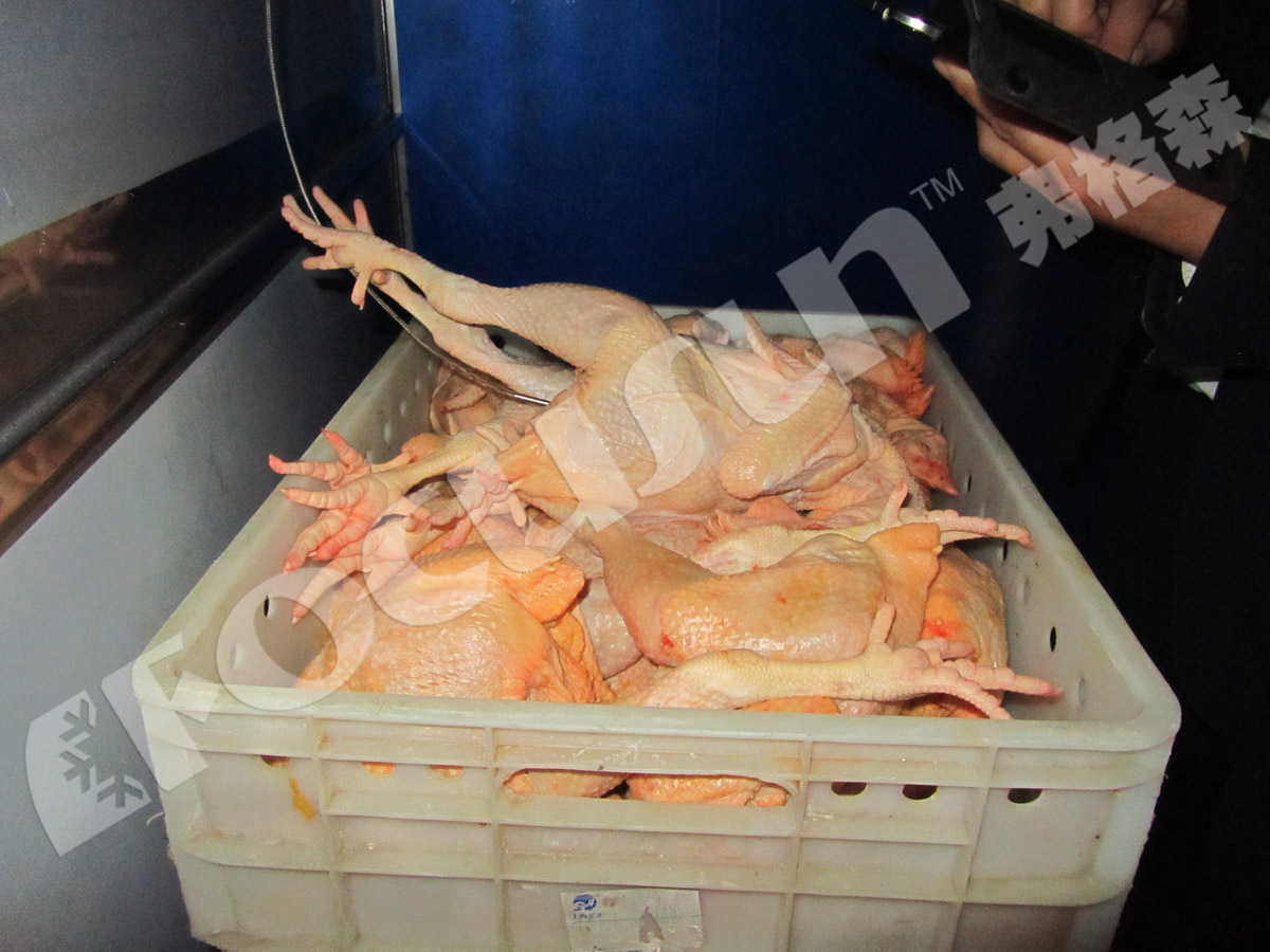 Low Noise Advantage Vacuum Cooling Machine for Mushroom and Cool Fresh Vegetables