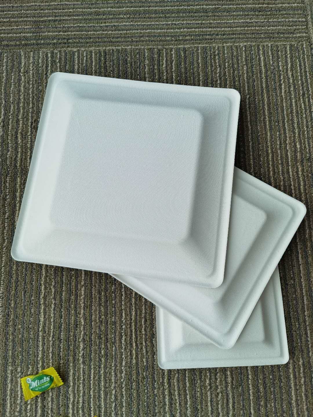 10 Inch 30g Kitchen Dinnerware Bio Food Packaging