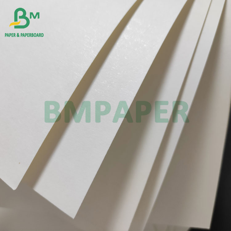 PE Coated Cup Bowl Paper