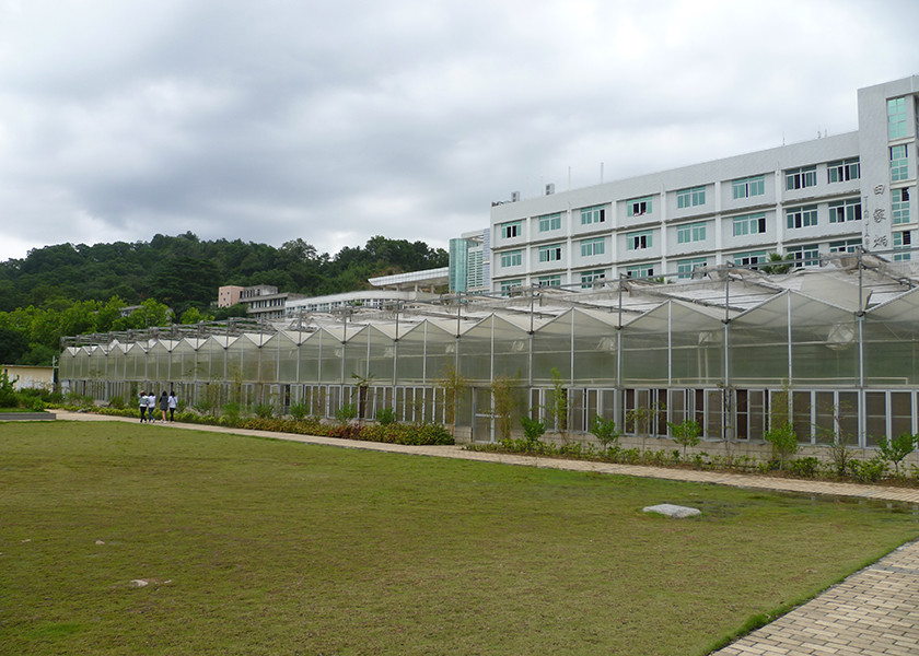 UV Resistant, Temperature-Regulated PC Greenhouse With Large Ventilation Areas - Perfect For High Value Plants