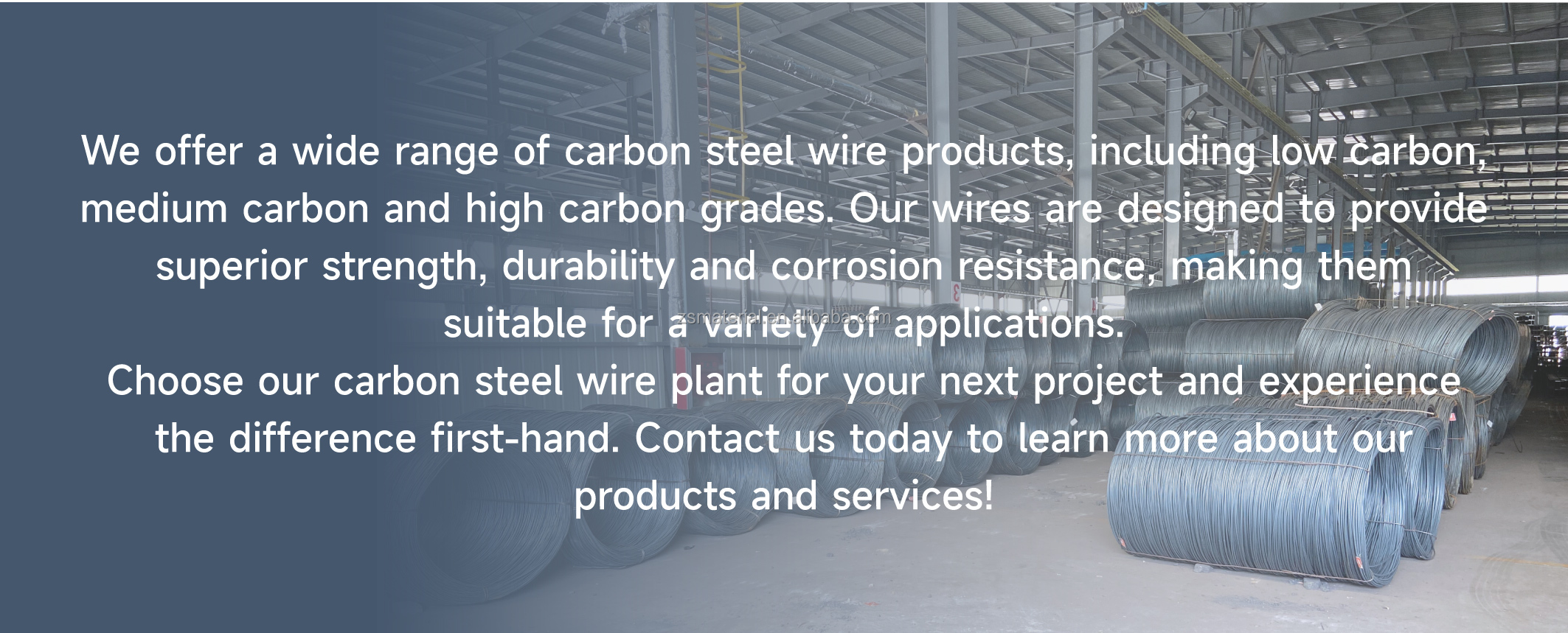 Galvanized Steel Wire 8mm in ASTM Standard from Professional with Q195/Q235/SAE1006/SAE1008 Grade