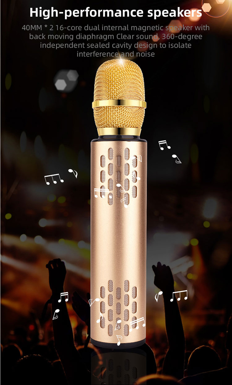5W*2 Wireless Karaoke Microphone Bluetooth Speaker 6H Playtime For Holiday Party