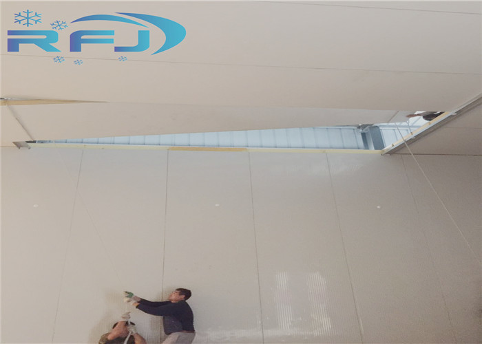 Walking Deep Freezer Commercial Cold Room 380V/3P/50Hz Cooler For Sea Food
