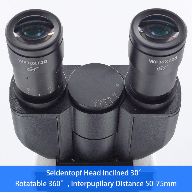WF10X/20mm Seidentopf Binocular Digital Microscope A31.2601 With Mechanical Stage