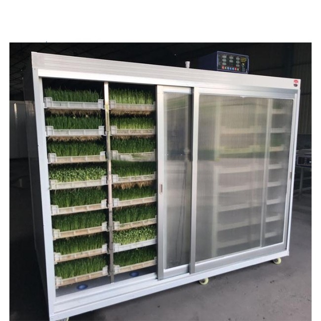 Animal Hydroponic Fodder Machine Greenhouse Hydroponic Growing Systems