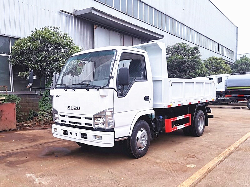 ISUZU Chassis Small Dump Truck 5Tons 6Tons mini Tipper Truck 4X2 Cargo Truck Light with factory price
