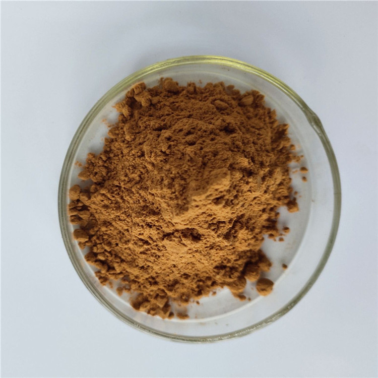 Extract Herbal Bearberry Leaf Extract For Detoxification