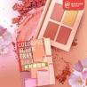 Buy cheap Shimmer Matte Blush Palette Face Beauty Cheek Pink All Skin Type Apply from wholesalers