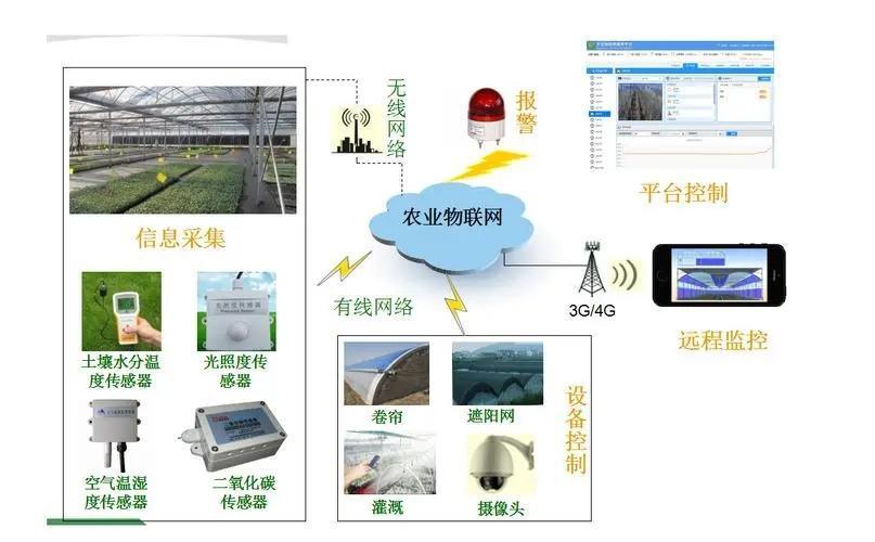 Agriculture Poly Tunnel100% Blackout Automatic Light Deprivation Greenhouse for Canada / USA