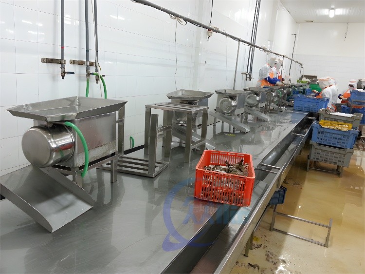 0.12KW Stable Shrimp Cutting Machine Multi Function 510x400x300mm