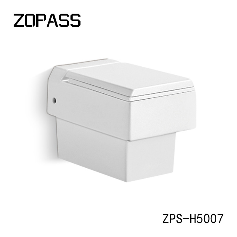 White P Trap Rimless Wall Hung Toilet Bowl One Piece With Bidet