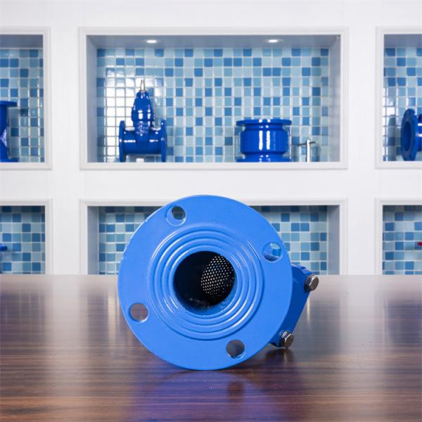 Cuctile Iron Dn250 Strainer Y Type Flanged Ss304 Filter Valve Ggg50 Class 150