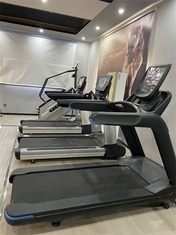 Walking Pad Treadmill Machine Heavy Duty Cardio Training 3.0HP Gym Equipment