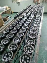 Zhongshan Ruinuo Lighting Co.,Ltd.
