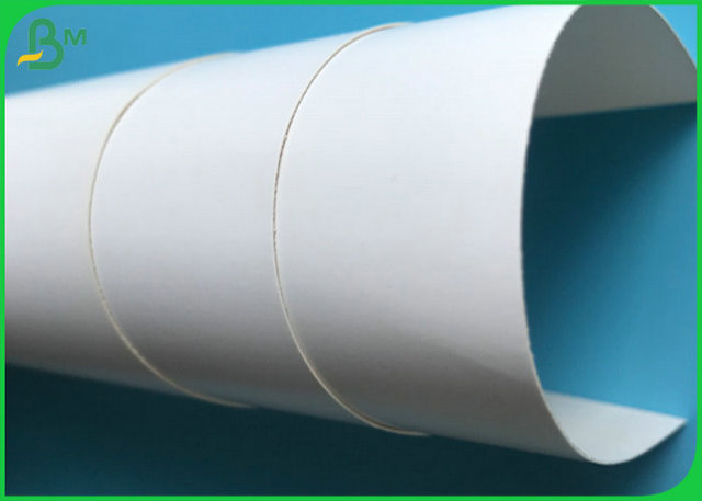 FSC Approved FBB Gloss Coated One Side Paper With Custom Sheet Or Roll