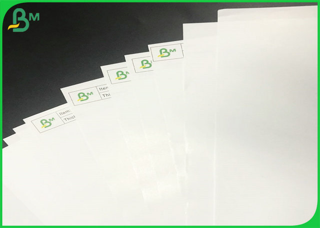 80gsm 100gsm C1S C2S Gloss Coated White Chromo Art Paper Reels 