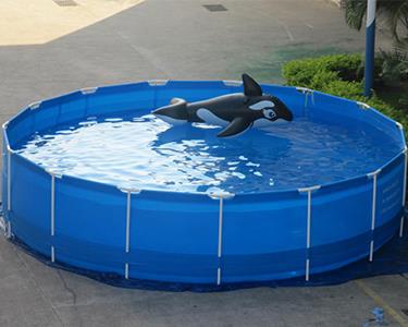 Collapsible Foldable PVC Fish Tank Fish Rearing Tank Factory