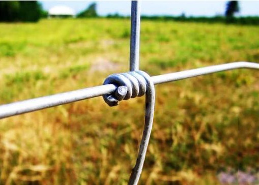 Corrosion Resistant 3ft Tall Wire Cattle Fencing For Farm