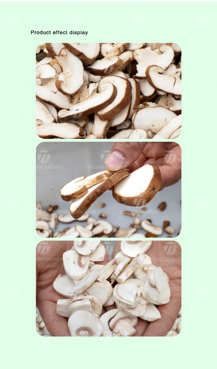 Mushroom slicer mushroom farm processing and cutting equipment central kitchen supporting machinery mushroom processing