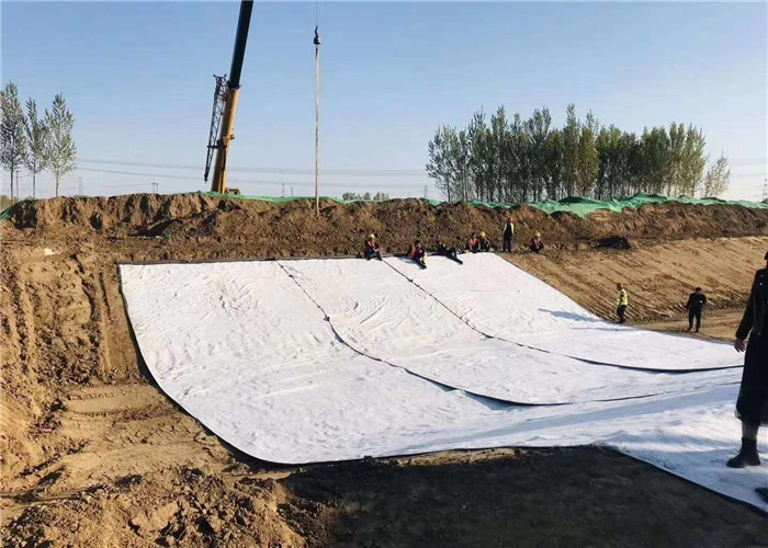0.9mm Non Woven Geotextile Fabric Polyester Pet Filament Pp