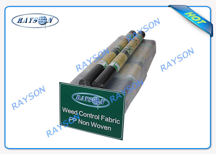 Black Breathable PP Non Woven Fabric For Garden Fleece / Plant Cover Non Woven Landscape Fabric